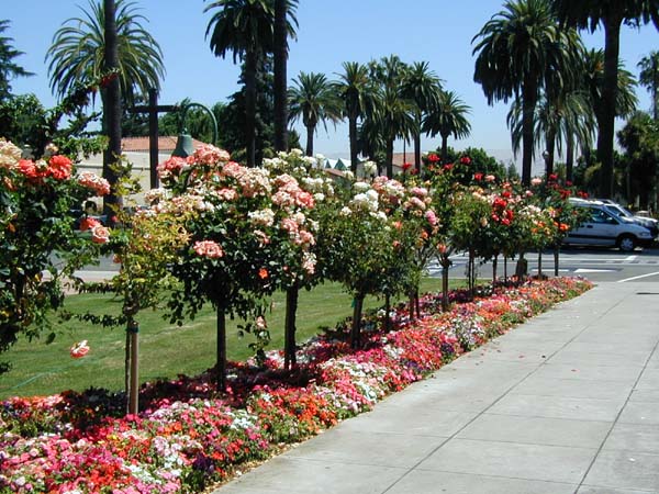 Mission Gardens.