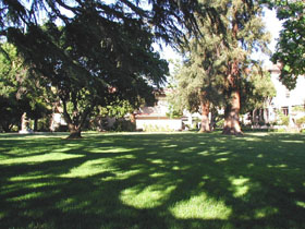 Prado Kenna.